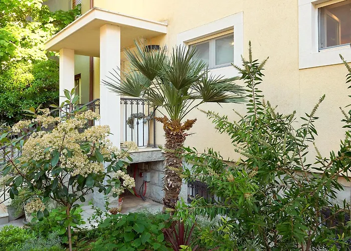 Front In * سبليت